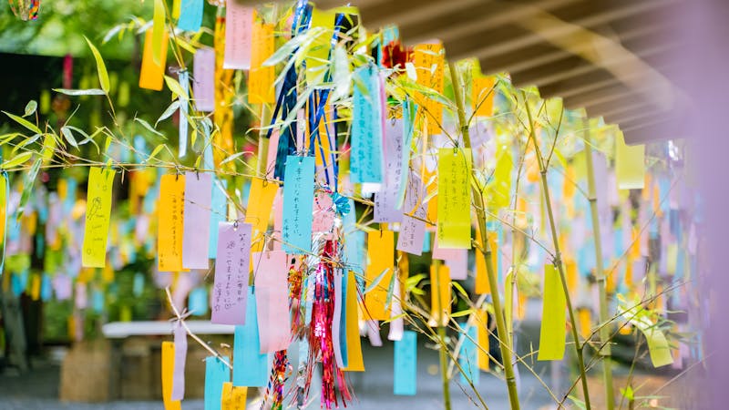 七夕の願い事、どう書くのが正解?叶いやすい書き方と例文・色の意味まで徹底解説!